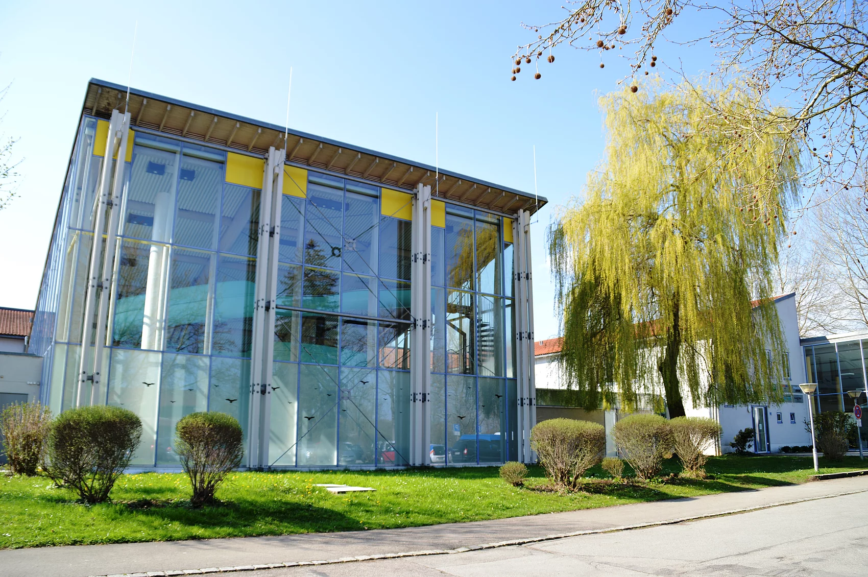 Außenansicht des Gebäudes Lechtalbad mit Glasfassade und Hängeweide im Vordergrund